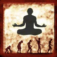 evolution & meditation